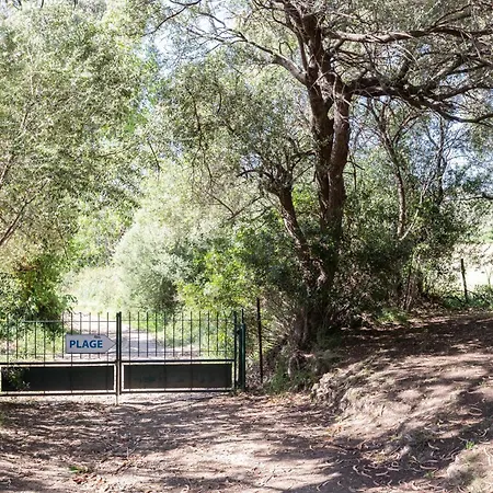 Village De L'ostriconi G2 Palasca (Corsica)